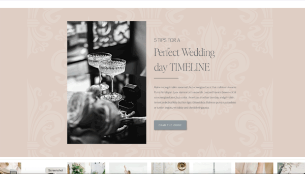 Fontainebleau Home Page Lead Magnet Section